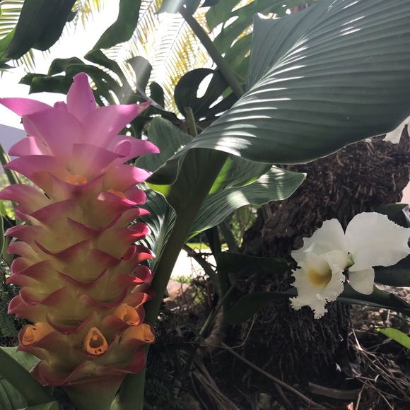 Meet your Posher, Sheryl - Picture 1 of 1